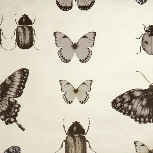 Papilio Charcoal/Gold