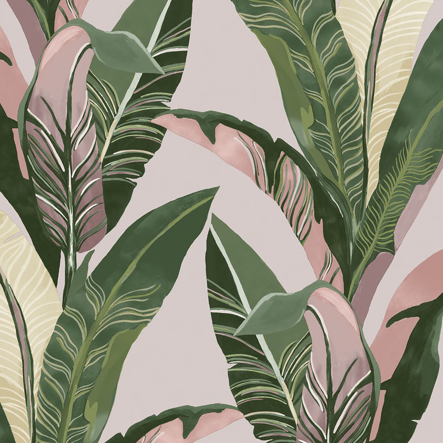 green and pink wallpaper