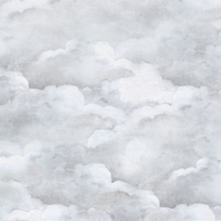 Dusty Clouds Pale Gray
