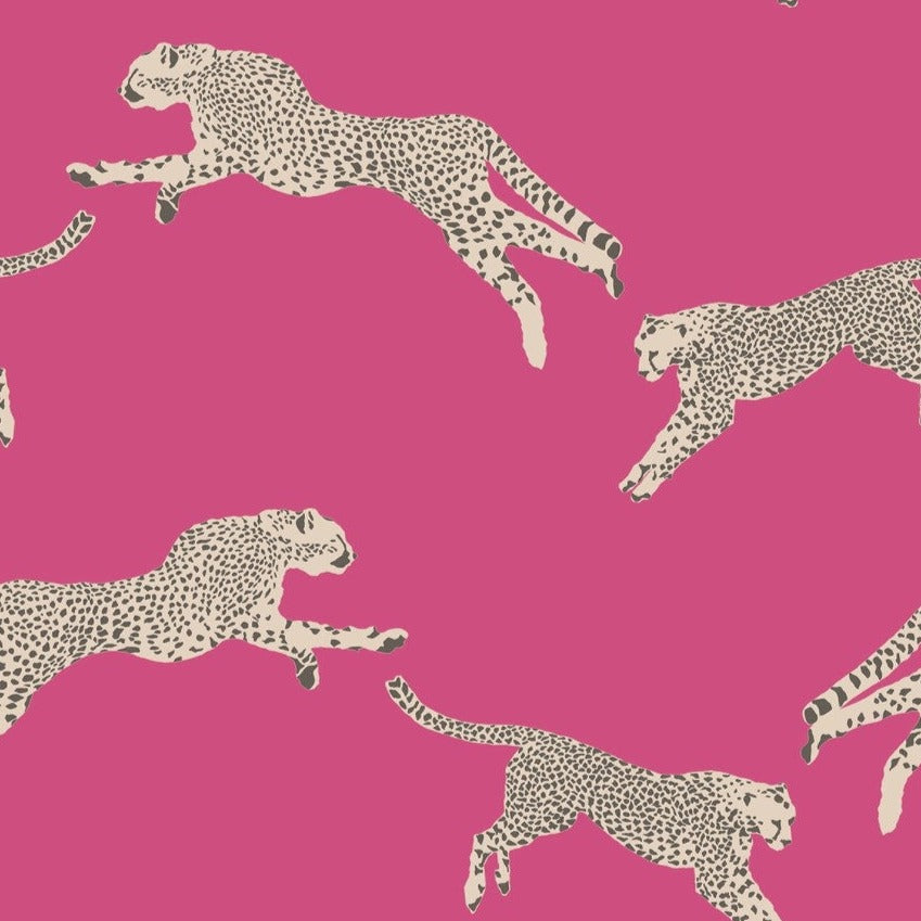 Leaping Cheetah  Peel & Stick - Multi Colorways