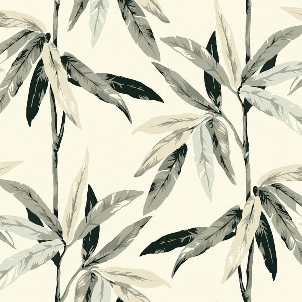 Janson Wallpaper in Black