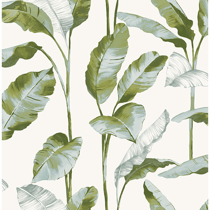 Banana Leaf green Peel & Stick