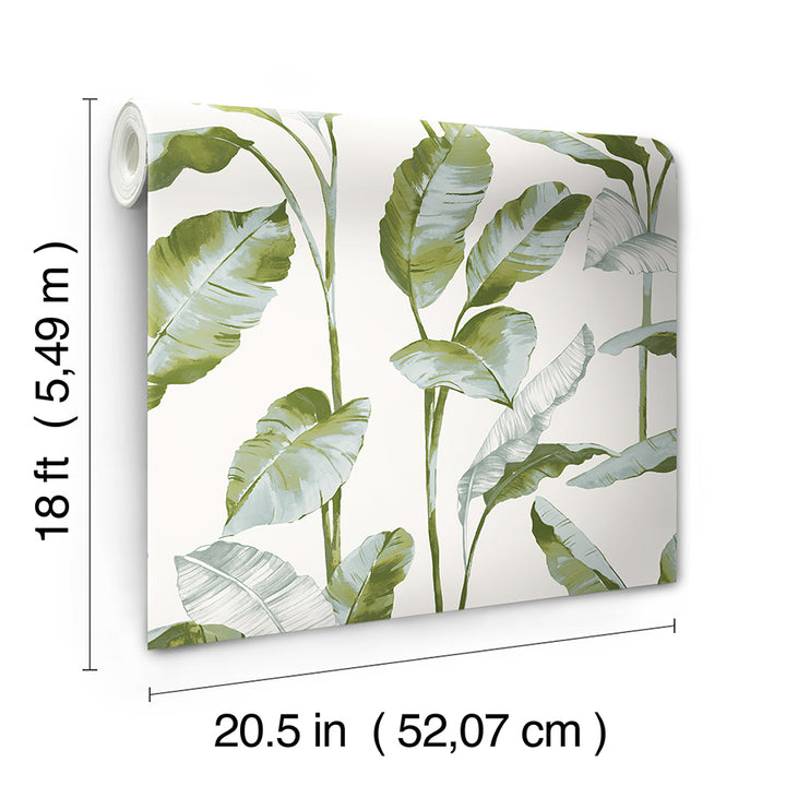 Banana Leaf green Peel & Stick