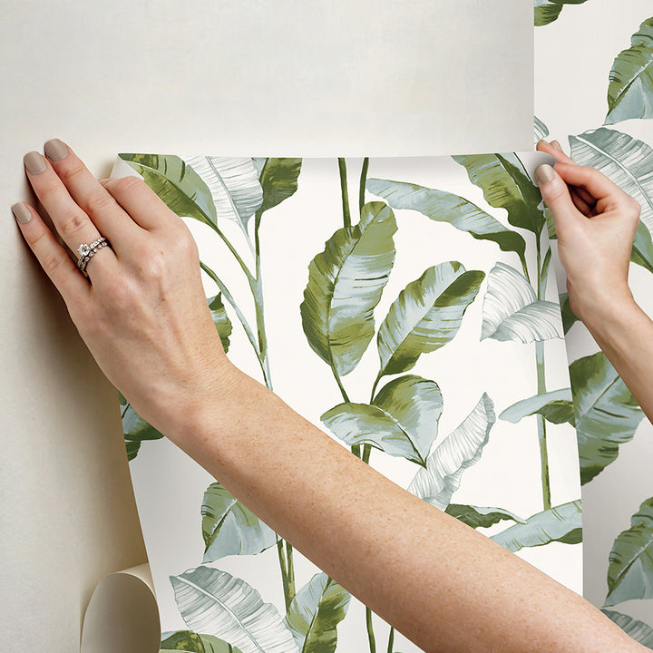 Banana Leaf green Peel & Stick