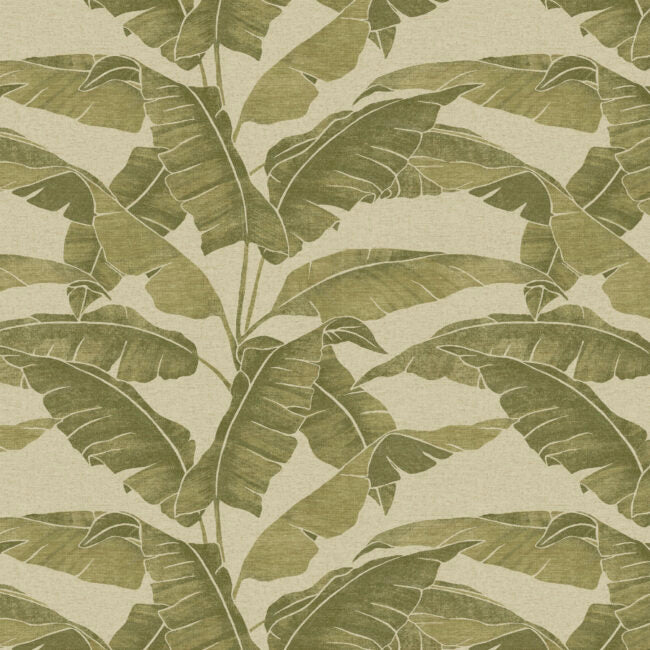 Palm Silhouette