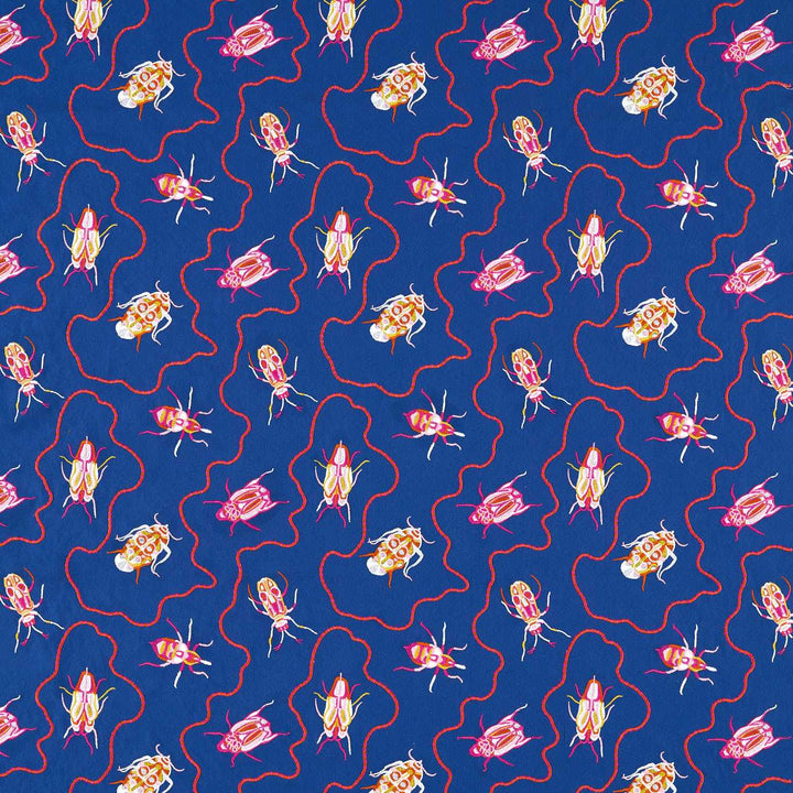 Jewel Beetles
