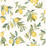 lemon country wallpaper