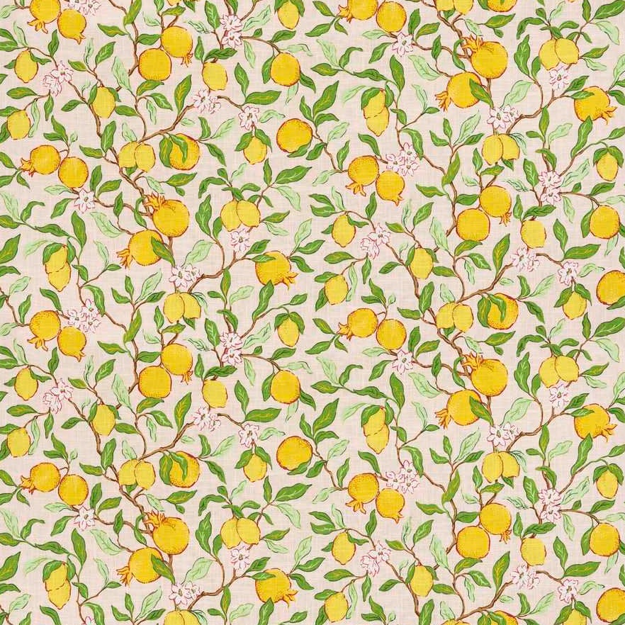 Citrus Floral Fabric in Blush