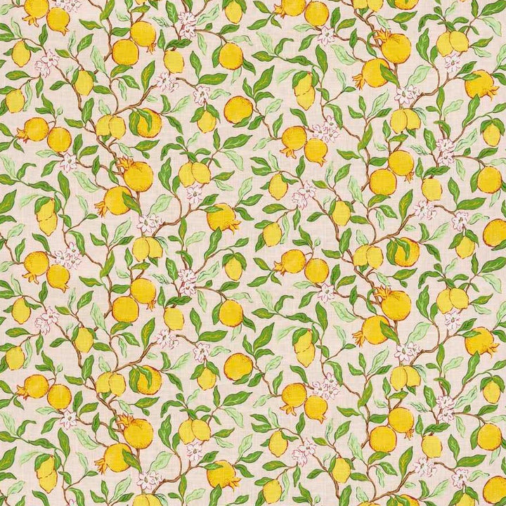 Citrus Floral Fabric in Blush