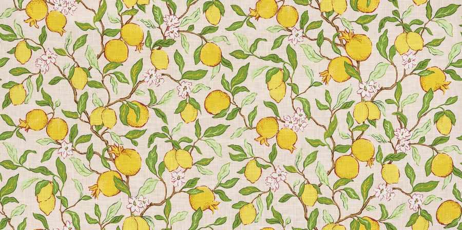 Citrus Floral Fabric in Blush