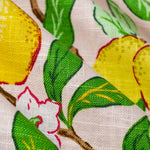 Citrus Floral Fabric in Blush