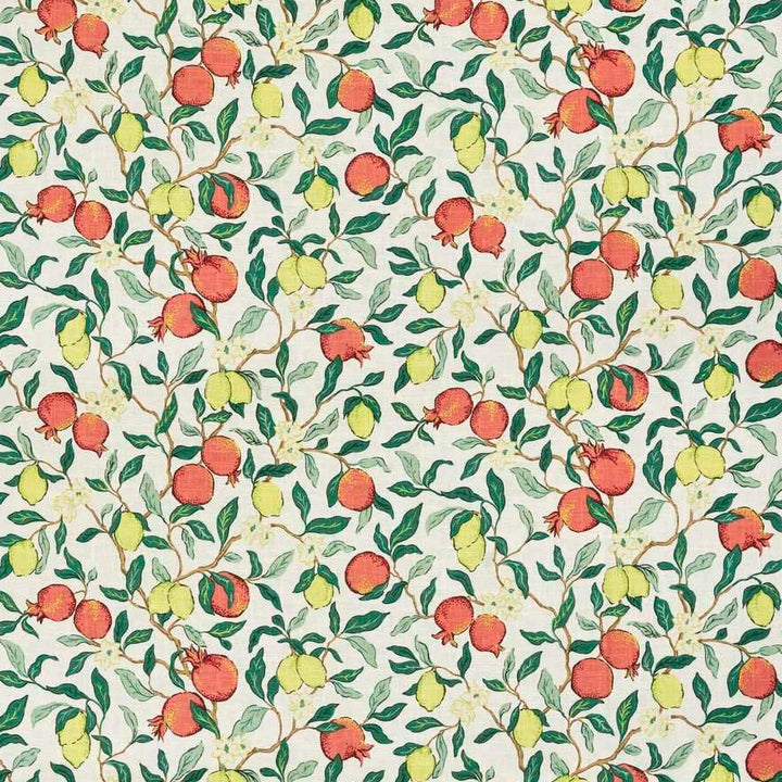 Citrus Floral Fabric in Pomegranate