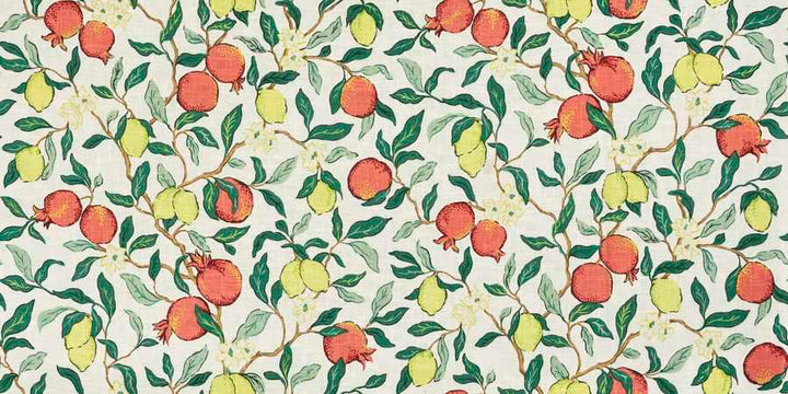 Citrus Floral Fabric in Pomegranate