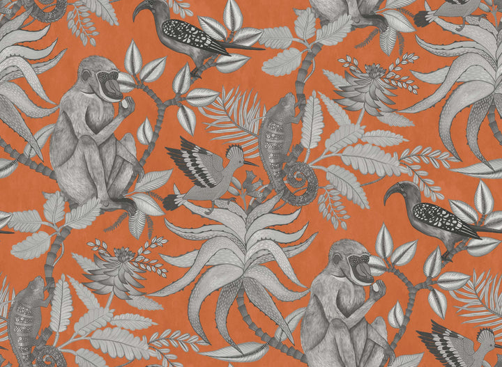 orange and grey animal wallpaper