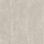 Neutral palm leave wallpaper designs