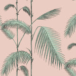 palm vine wallpaper