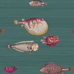 puffer fish wallpaper