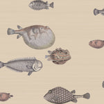 neutral fish wallpaper
