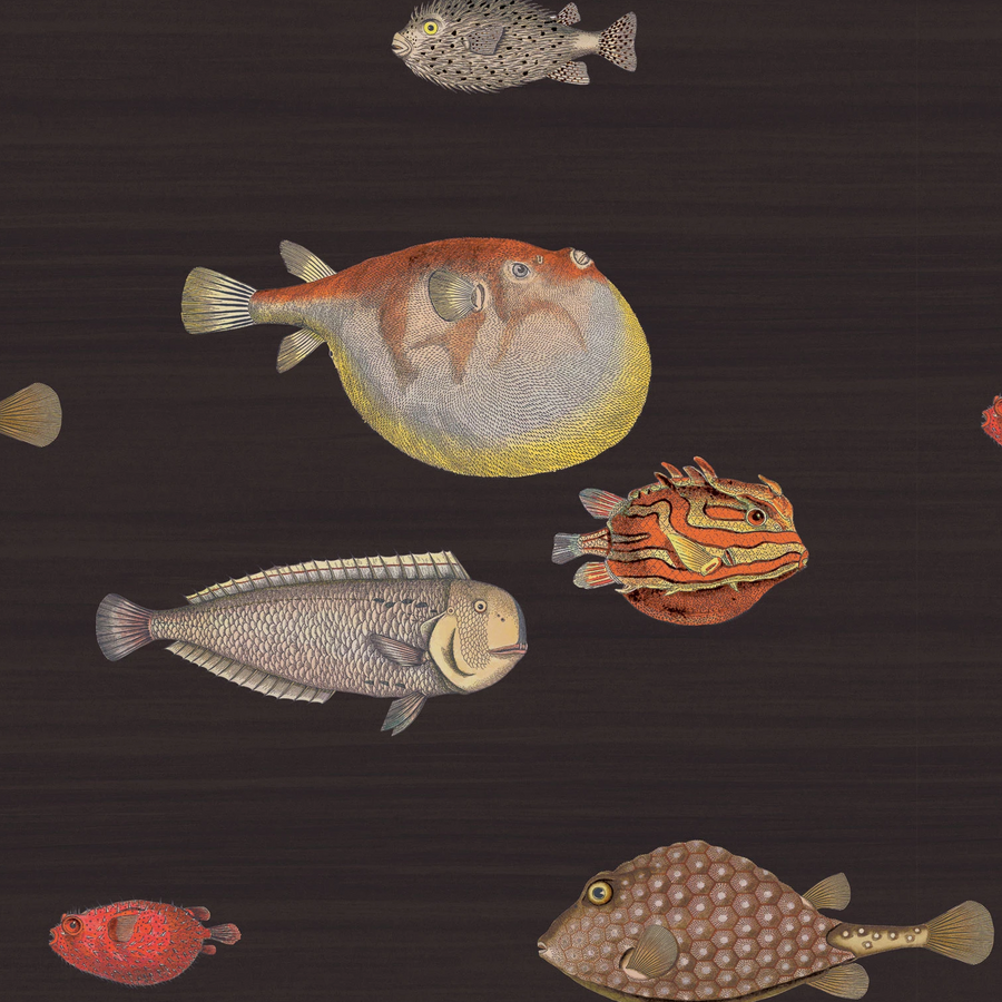 whimsical fish wallpaper