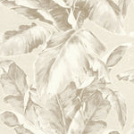 Antique Floral Sketch Wallpaper- Neutral
