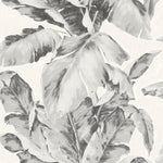 Antique Floral Sketch Wallpaper - Gray