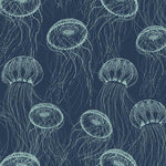 Atolla Jellyfish Navy