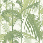 Palm Jungle (Multiple Colorways)