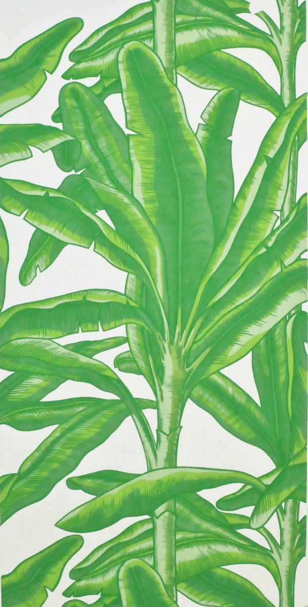 classic palm design
