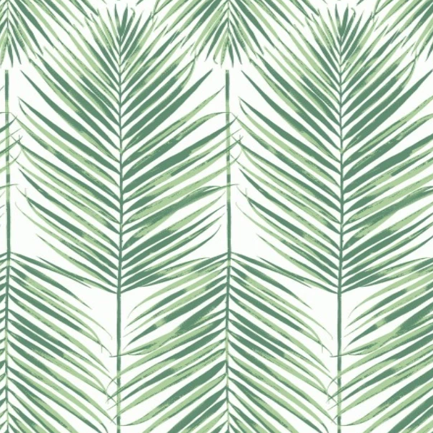 fresh green palm leaves