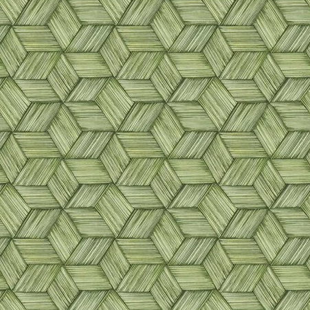 Intertwined Geometric Lime