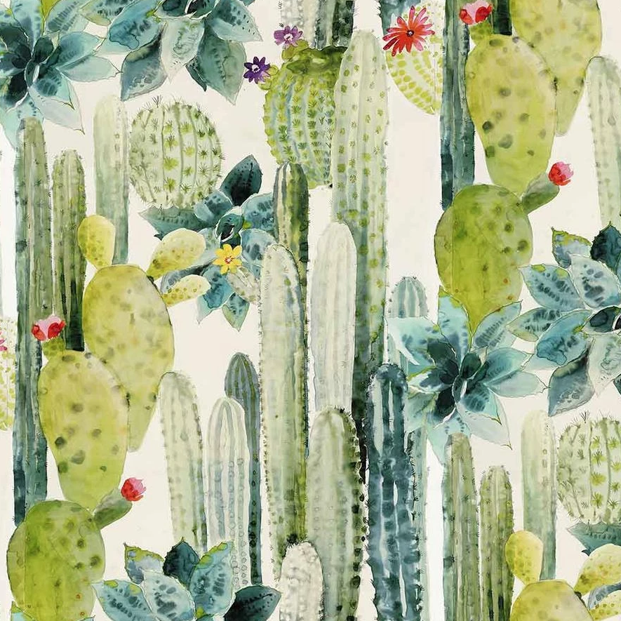 cactus wallpaper