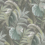 neutral palm wallpaper