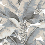 neutral tone palm leaf wallpaper