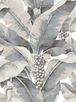 gray palm leaf wallpaper