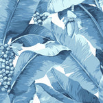 blue and white palm leaf wallpaper