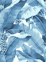 blue palm leaf wallpaper