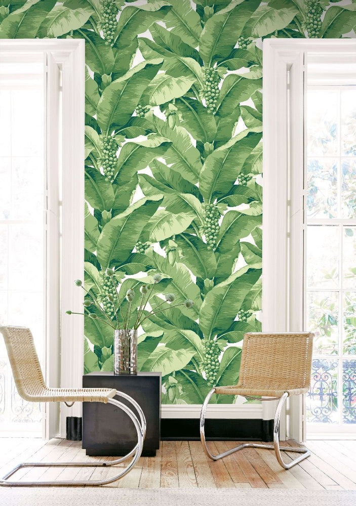 large scale palm leaf wallpaper