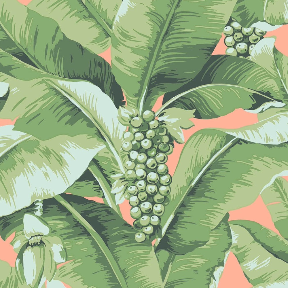 coral and green palm wallpaper
