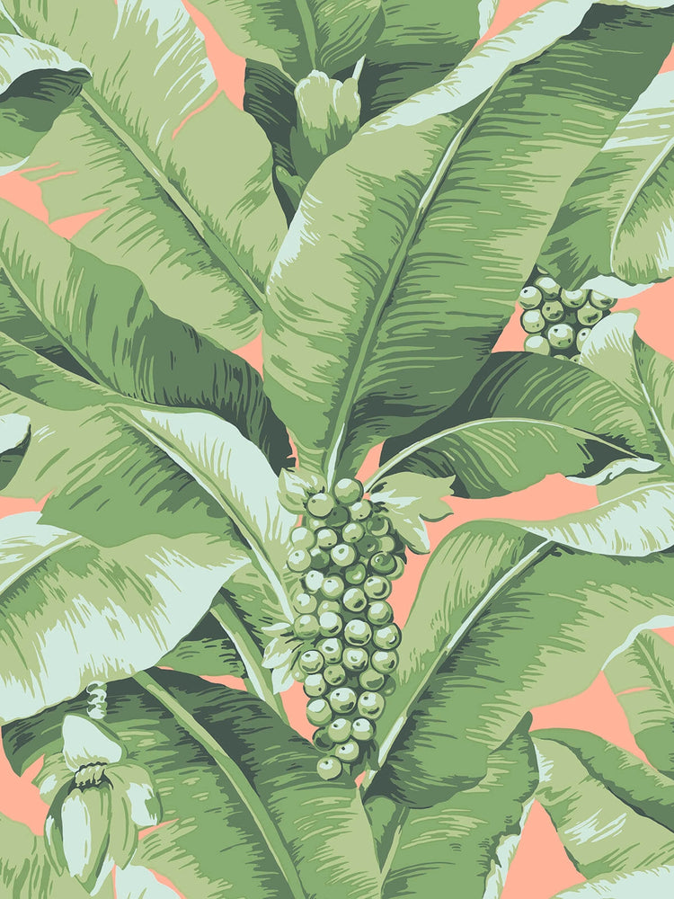 pink and green palm leaf wallpaper