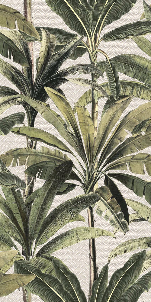 Palm leaves wallpaper designs