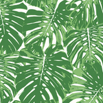 Jamaica Green SAMPLE